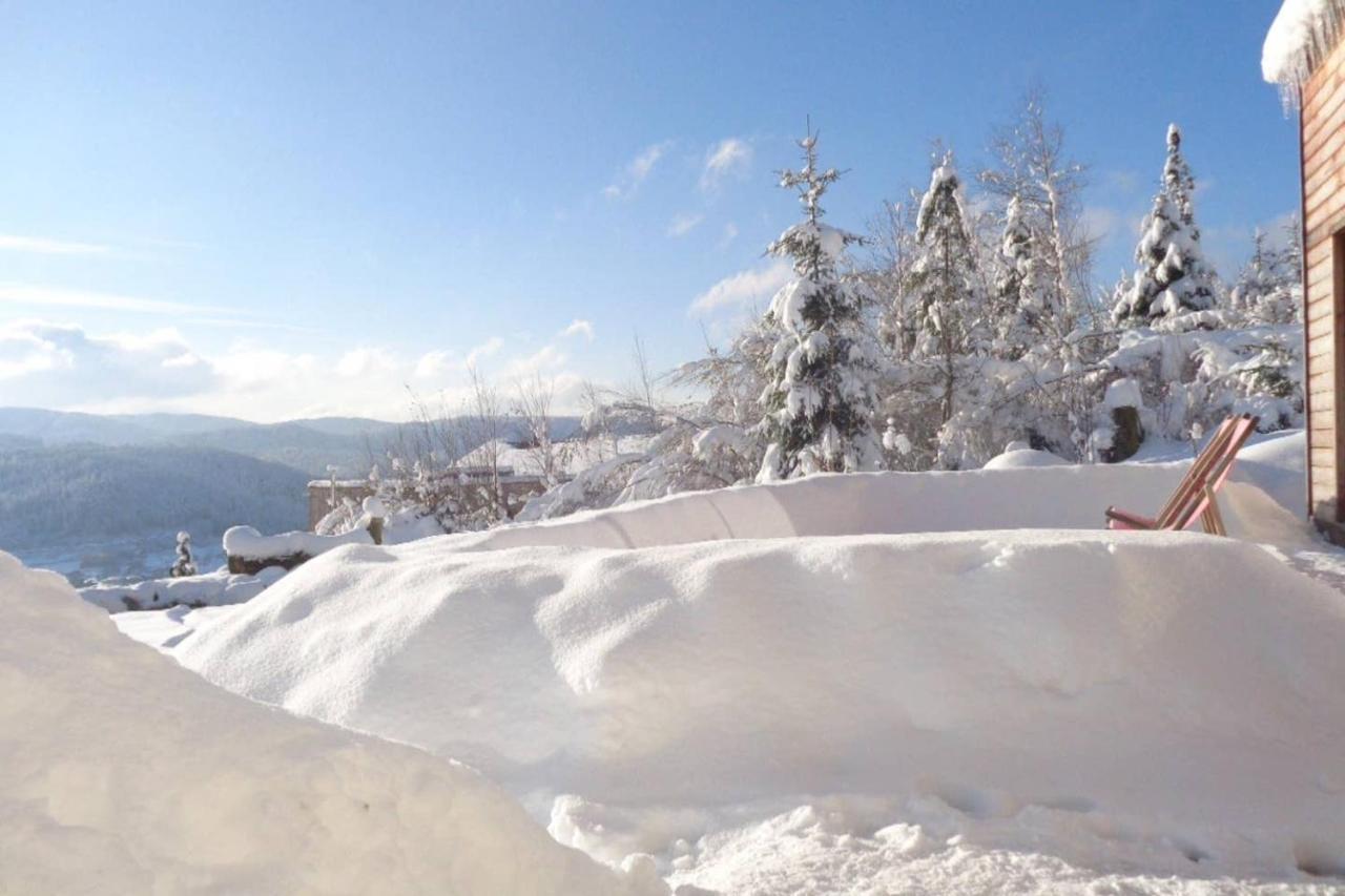 Laptitevosgienne Vue Lac A Gerardmer ! Exterior foto